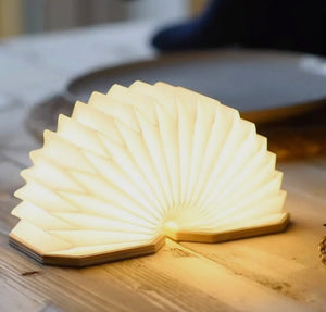 Smart Accordion Lamp view 3