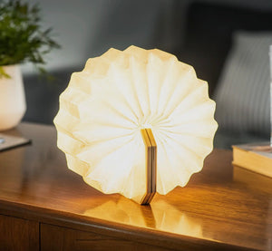 Smart Accordion Lamp view 1