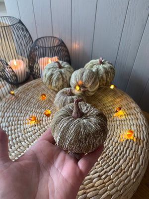 Striped Pumpkins view 6