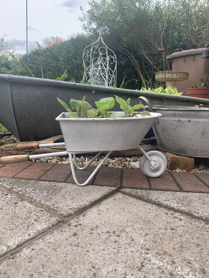 Wheelbarrow Planter view 2