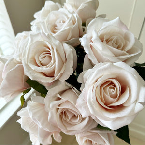 Pink Tea Rose view 4