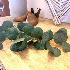 Eucalyptus Spray view 2