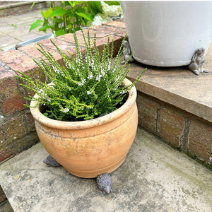 Hedgehog Pot Riser Set view 1