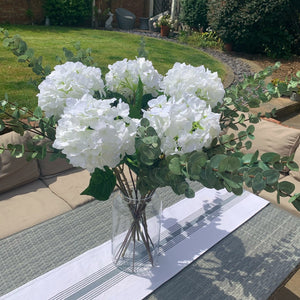 Large Cineraria Eucalyptus Spray view 6
