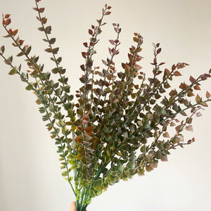 Blush Barberry Spray view 4