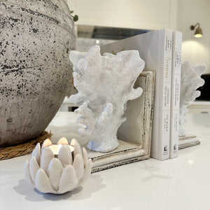 Coral Bookends view 1