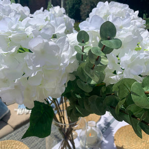 Large Cineraria Eucalyptus Spray view 5