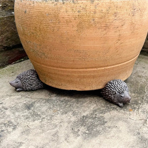 Hedgehog Pot Riser Set view 5