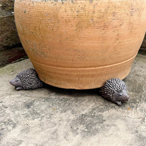 Hedgehog Pot Riser Set view 5