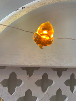 Acorn Lights view 3