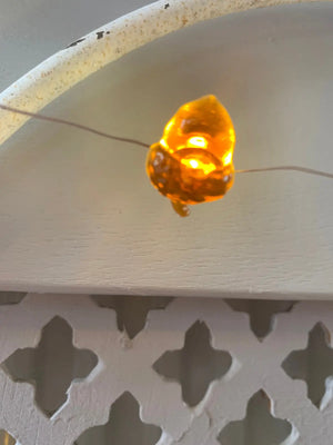 Acorn Lights view 3