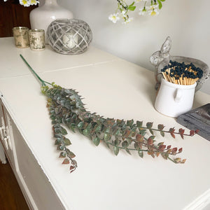 Blush Barberry Spray view 2
