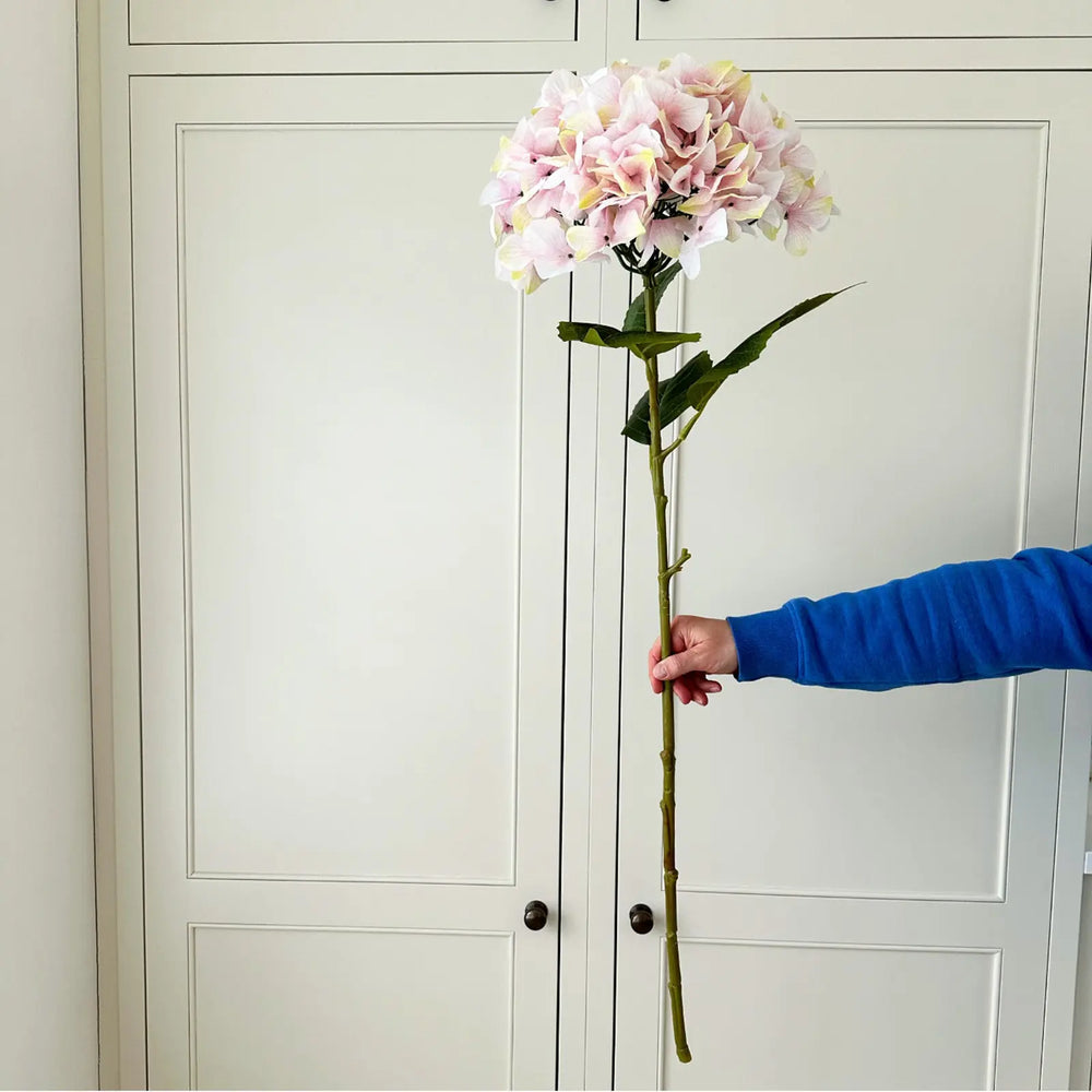 Giant Pink Hydrangea Stem
