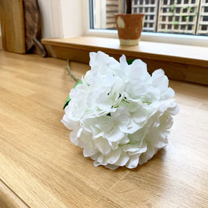 White Hydrangea Stem view 2