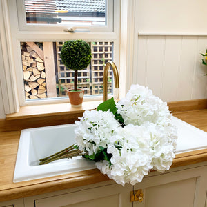 White Hydrangea Stem view 4