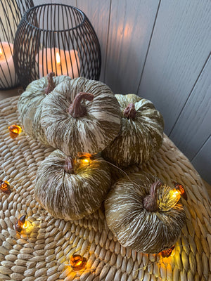 Striped Pumpkins view 5