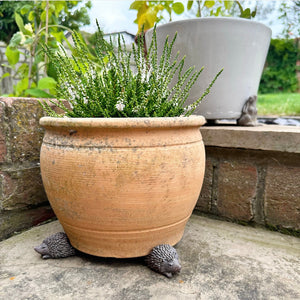 Hedgehog Pot Riser Set view 3