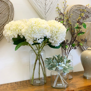Apothecary Glass Vase view 2