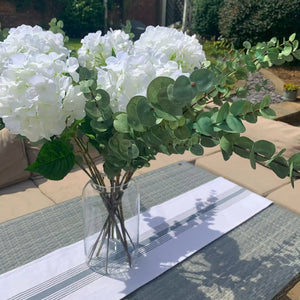 Large Cineraria Eucalyptus Spray view 2