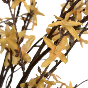 Forsythia Spray view 6