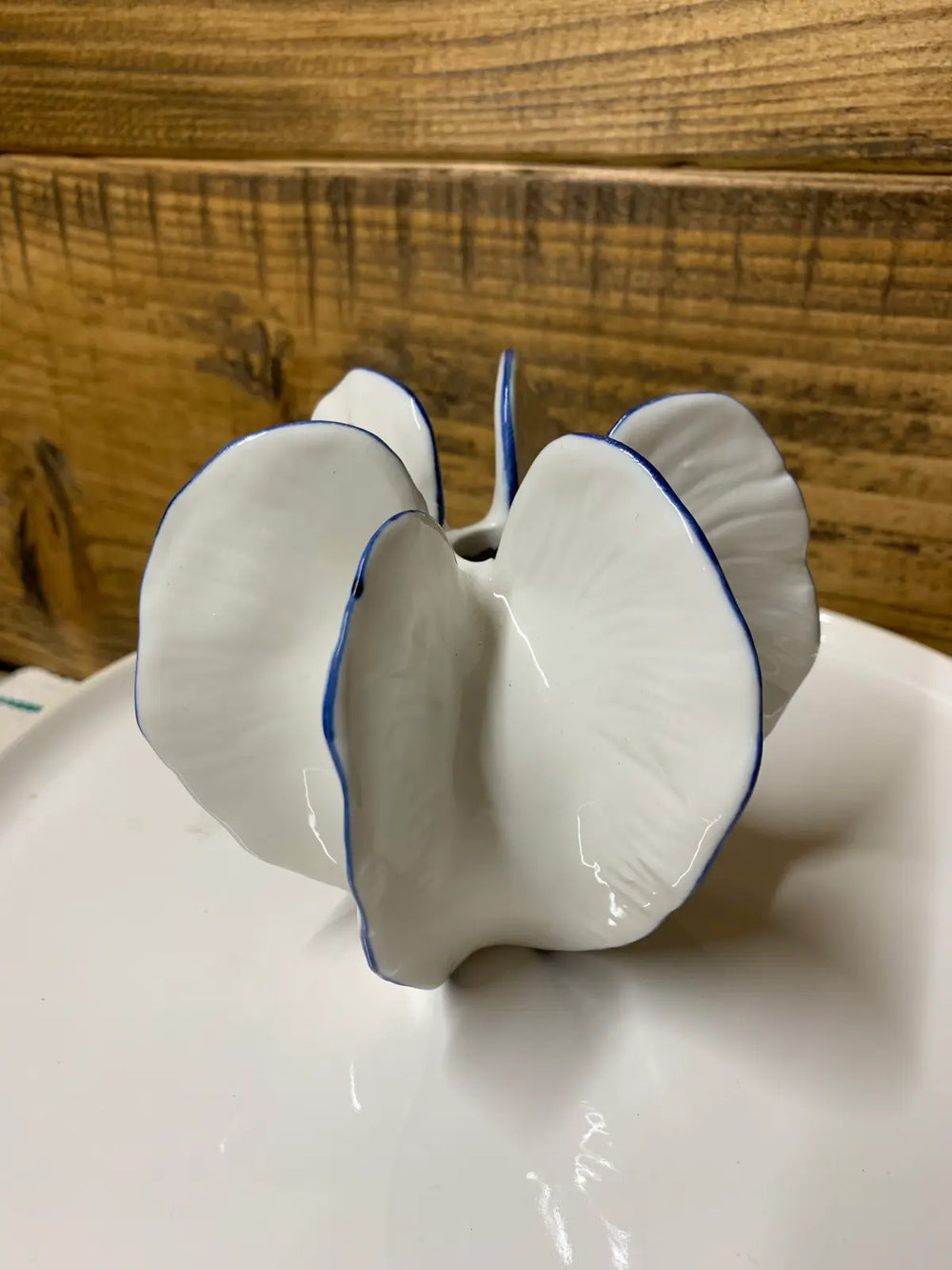 Mini Seed Pod Vase