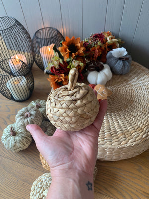Straw Pumpkins view 5