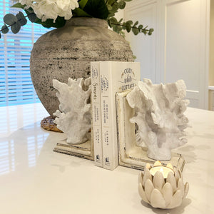 Coral Bookends view 5