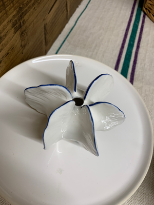 Mini Seed Pod Vase view 5