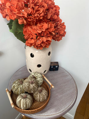 Striped Pumpkins view 10