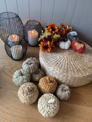 Striped Pumpkins view 7