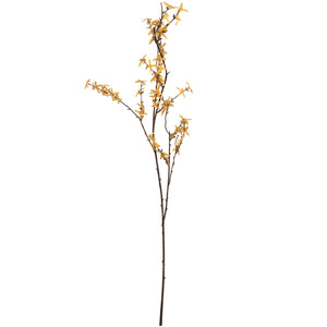 Forsythia Spray view 4