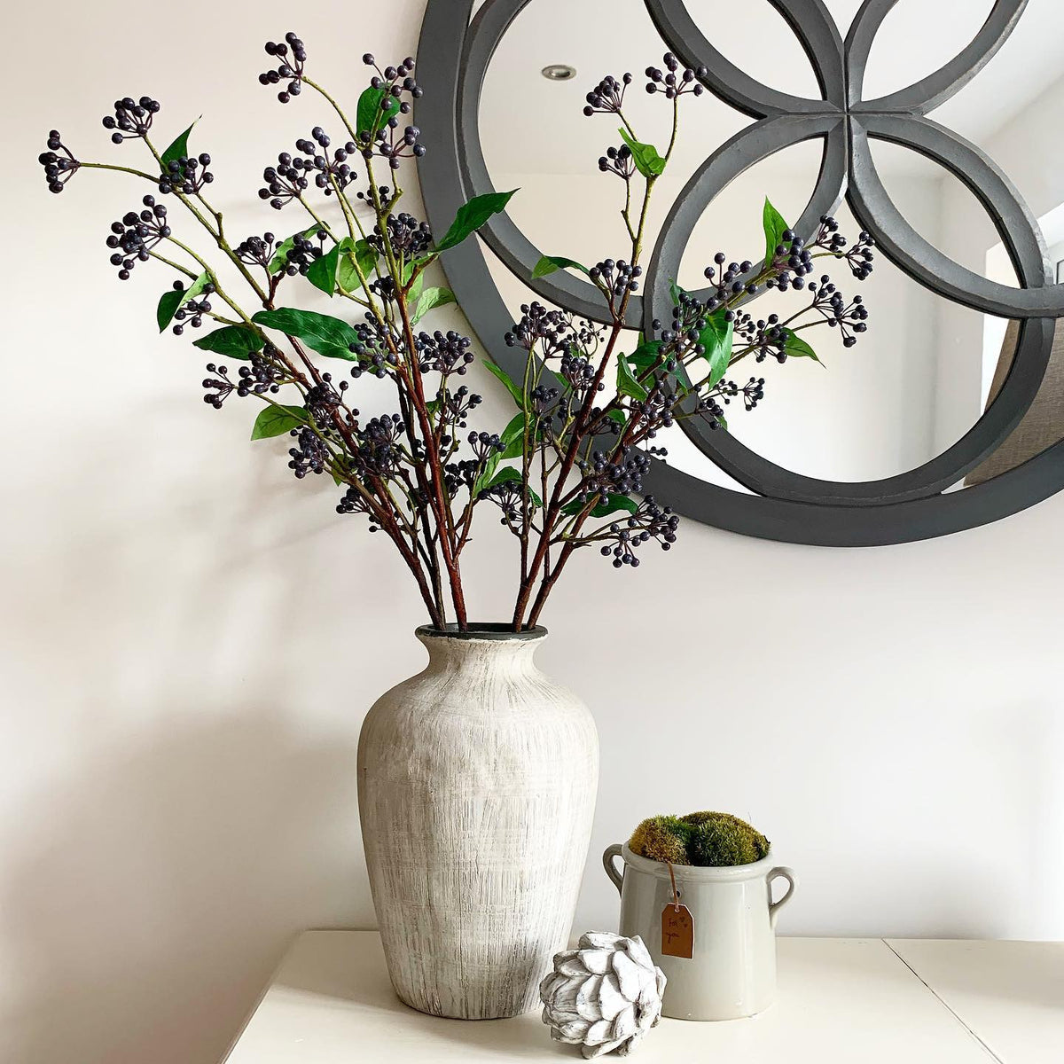 Viburnum Berry Stem