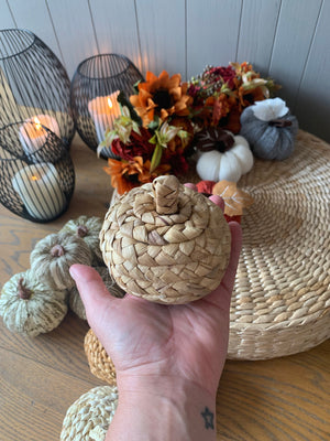 Straw Pumpkins view 6