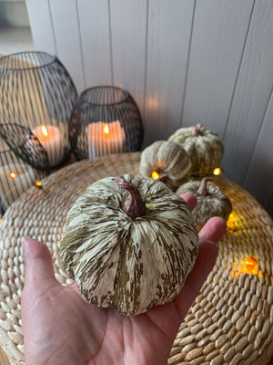 Striped Pumpkins view 2