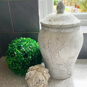 Buxus Ball view 6