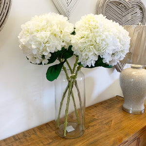Apothecary Glass Vase view 4