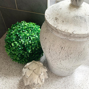 Buxus Ball view 3