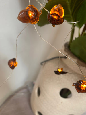 Acorn Lights view 2