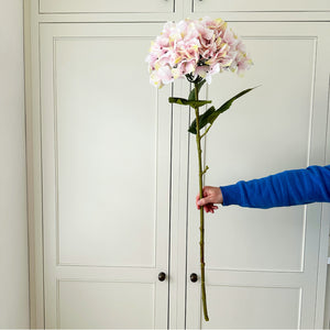 Giant Pink Hydrangea Stem view 1