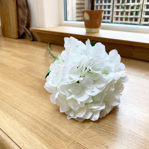 White Hydrangea Stem view 2