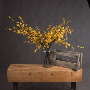 Forsythia Spray view 5