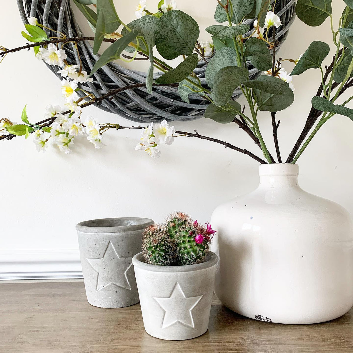 Cement Plant Pot with Star Outline