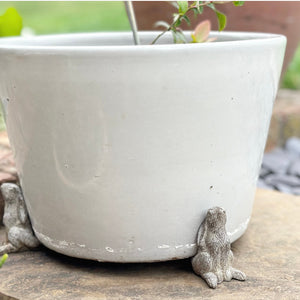 Hare Pot Riser Set view 3