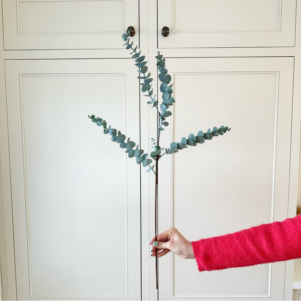 Dusky Blue Eucalyptus Spray