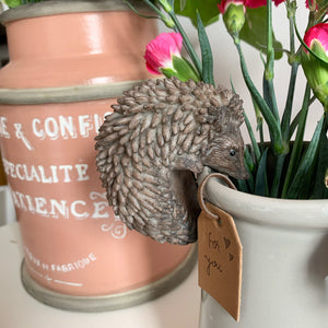 Small Plant Pot Hanger view 4