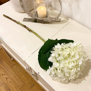 Huge White Hydrangea Stem view 7