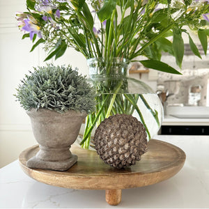 Stone Pinecone view 1