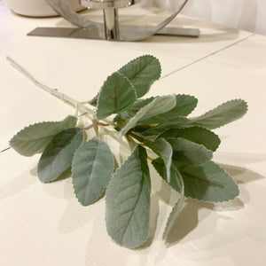 Lambs Ear Stem view 1