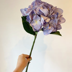 Lilac Hydrangea Stem view 2