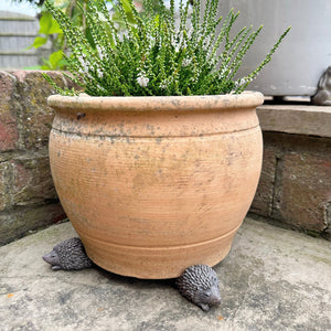 Hedgehog Pot Riser Set view 2